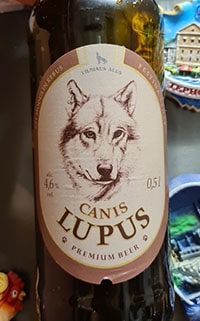 Canis Lupus by Vilniaus Alus