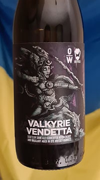 Valkyrie Vendetta by OverWorks