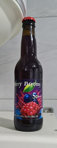 Berry Boomy