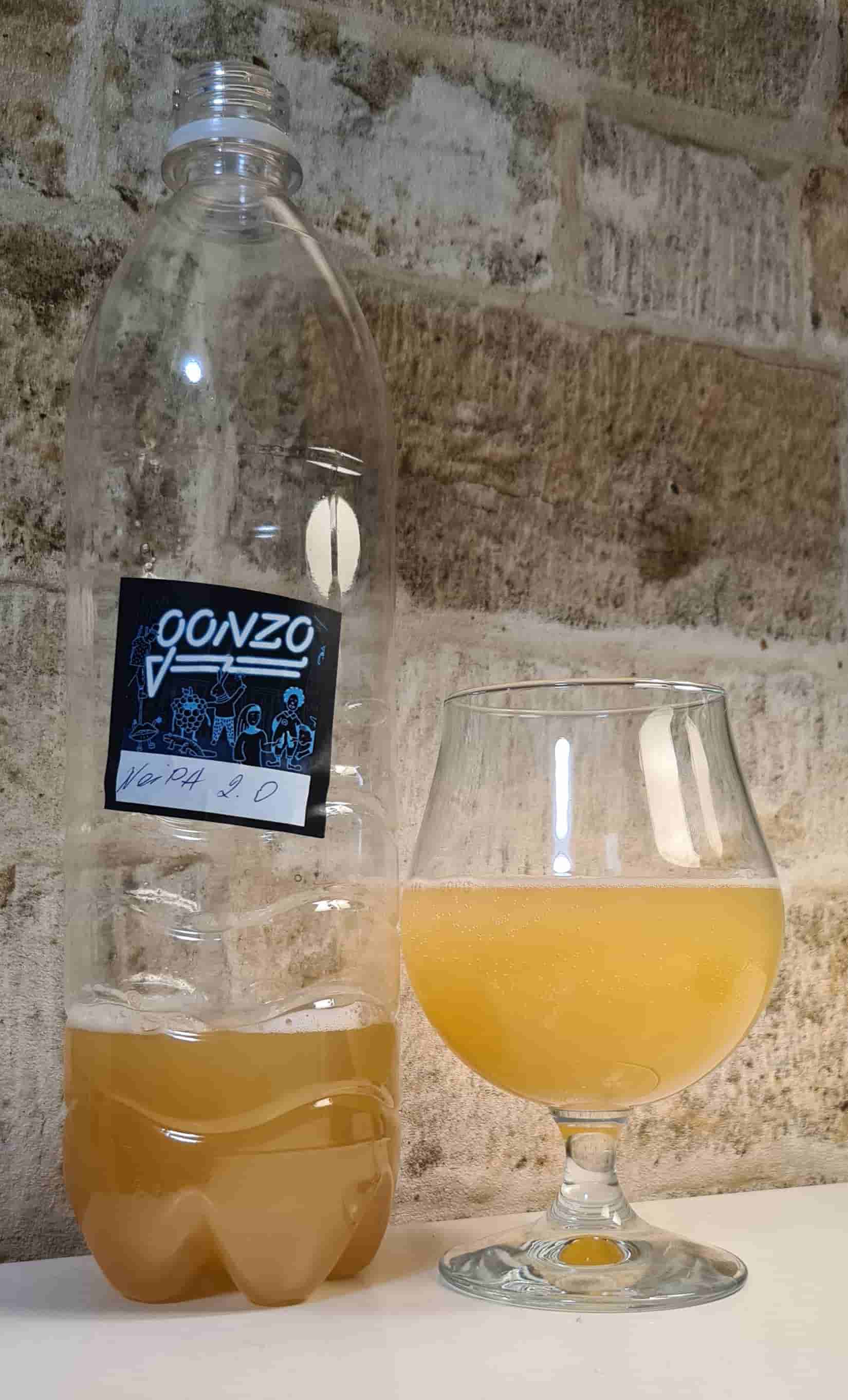 NEIPA Ver 2.0