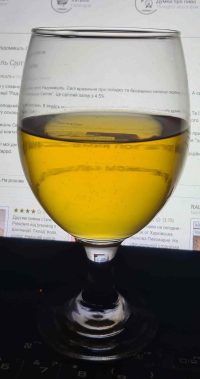 Радомишль Світле