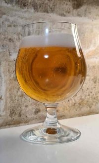 Старий Бердичів