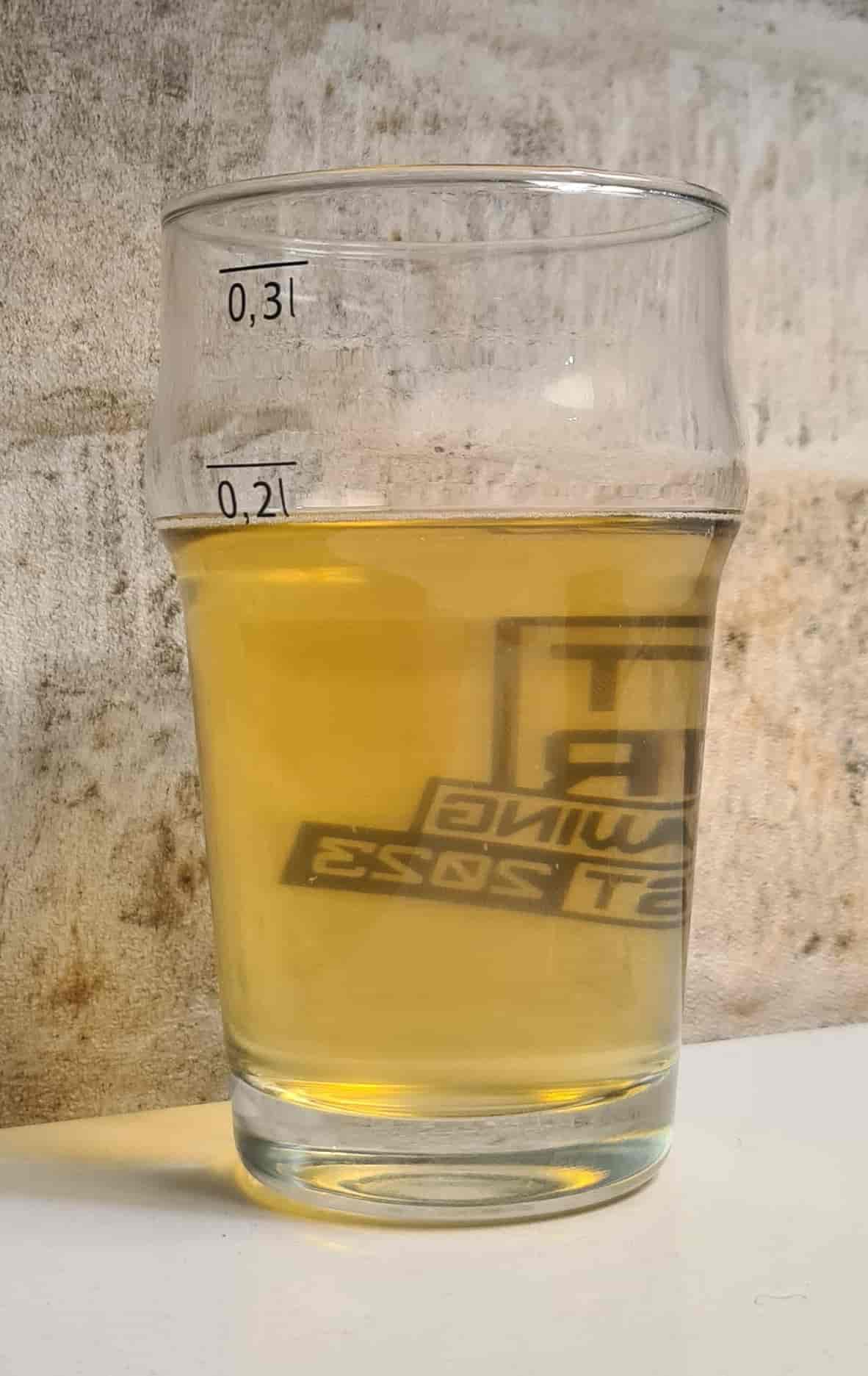 Чеський Пілзнер