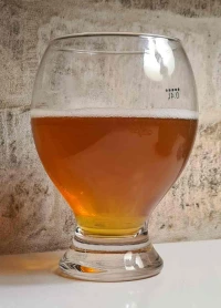 Stratocaster DIPA